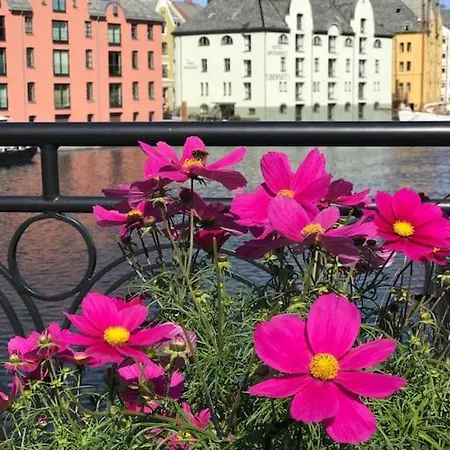 Apartment Hellegata 5 - In The Heart Of Alesund