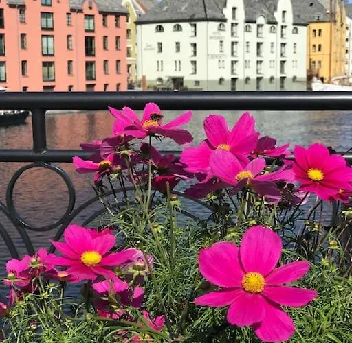 Apartment Hellegata 5 - In The Heart Of Ålesund